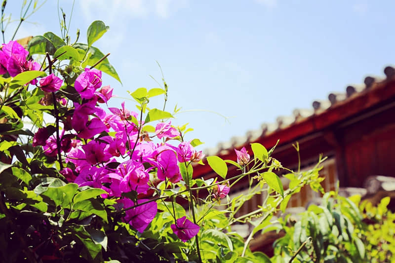 ����Խ�ᡰҪ��������Խ���㡱