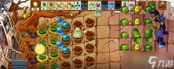 ֲ���ս��ʬ�ںϰ渡��Ͷ��ֲ����ʲô ����Ͷ��ֲ����ܽ���