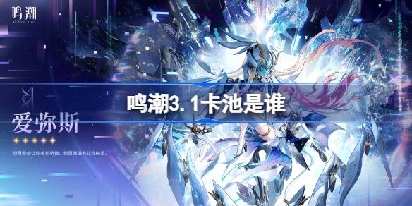 ����3.1������˭