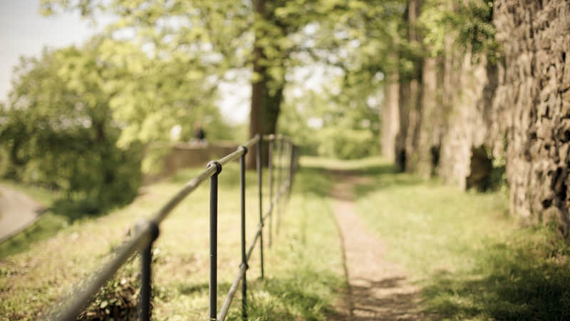 �������ʵ�������������