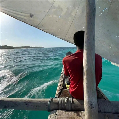 ��ü�ֵ�������������(��ѡ100��)