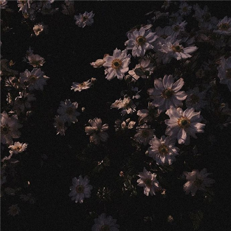 ���˶������������������(��ѡ100��)