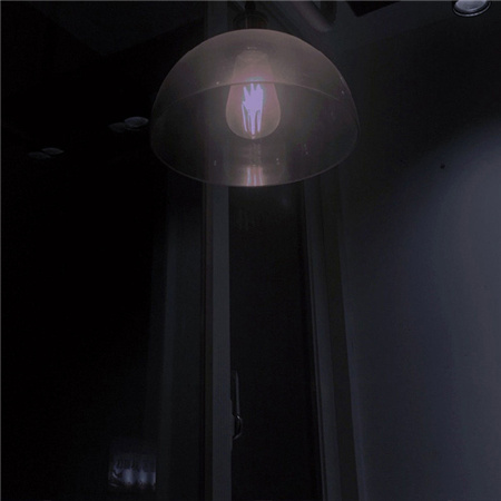 ֲ��԰ͼƬ�˸���������(��ѡ100��)