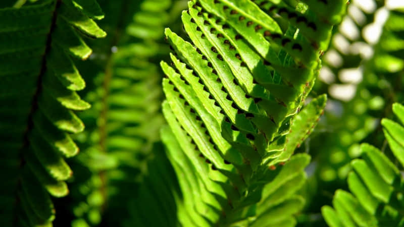 ��һ��Ů�ˣ�����˵��˵���������ԡ���