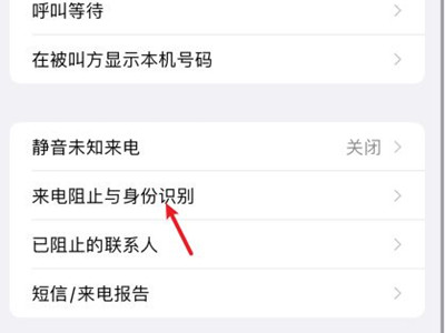 苹果13怎么开启骚扰电话拦截?苹果13开启骚扰电话拦截教程_wishdown.com 苹果13怎么开启骚扰电话拦截?苹果13开启骚扰电话拦截教程_wishdown.com