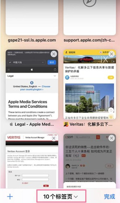 ios15系统自带浏览器怎么开启无痕浏览?ios15系统自带浏览器开启无痕浏览模式方法_wishdown.com ios15系统自带浏览器怎么开启无痕浏览?ios15系统自带浏览器开启无痕浏览模式方法_wishdown.com