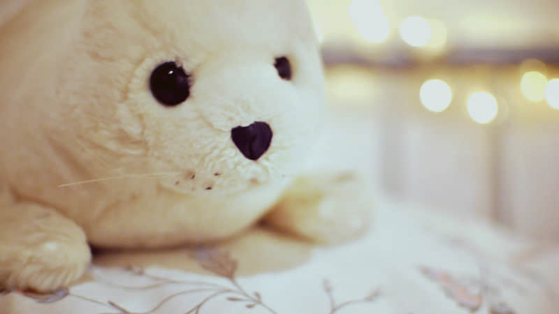 “句句不提生日,句句都是生日!”_wishdown.com “句句不提生日,句句都是生日!”_wishdown.com