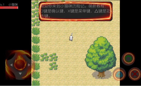 ��Ȥ��Сè����Ϸ����Щ?2026�����ϸߵ�è�������Ƽ��ϼ�