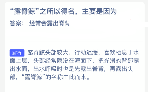 ˪ӥ�����ף��g������é��д�����ĸ��������������