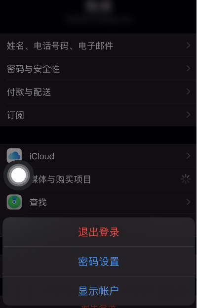 苹果手机如何使用人脸识别下载应用?苹果手机使用人脸识别下载应用教程分享_wishdown.com 苹果手机如何使用人脸识别下载应用?苹果手机使用人脸识别下载应用教程分享_wishdown.com