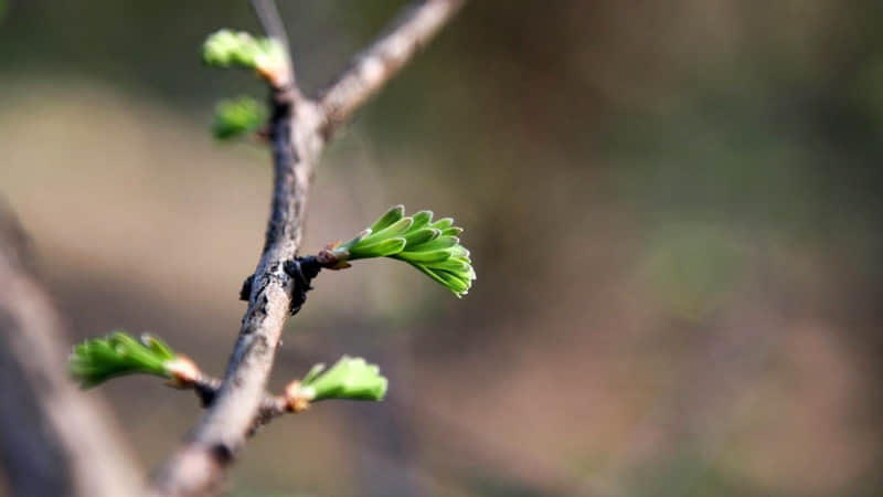 �����������������˸¸��֡�