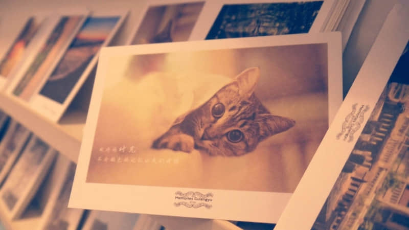 ����䲻�����գ���䶼������??��