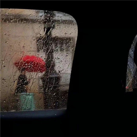 ����ȡ�˸���������ͼƬ(��ѡ100��)