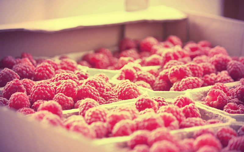 �С����š��Ѿ��������ˣ����ڶ�����10�ֳƺ���