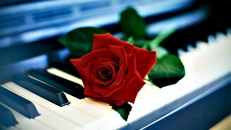 叫‘老婆’已经不流行了,现在都叫这10种称呼”_wishdown.com 叫‘老婆’已经不流行了,现在都叫这10种称呼”_wishdown.com