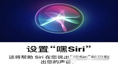ƻ��12Siriû��������ô���� ƻ��12Siriû�������������