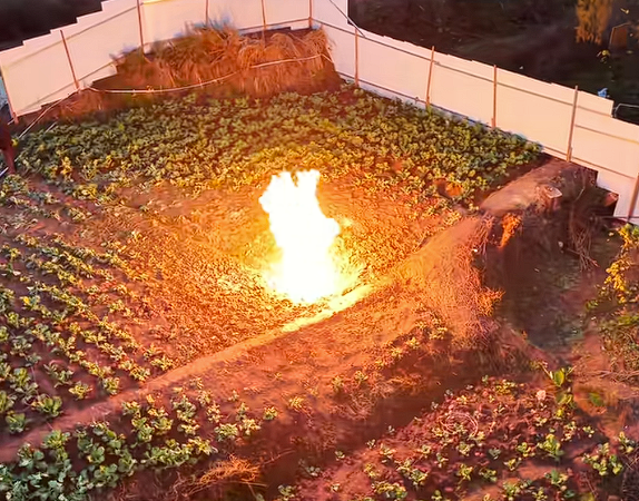 ����Ҳ�����Ĵ�һ�˵�ð������8�� ���أ�ϵǳ����Ȼ����ȼ