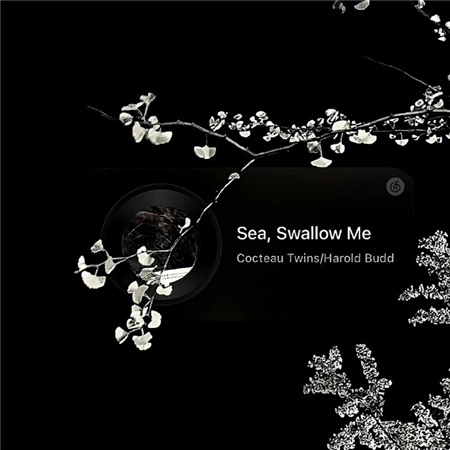 男生id小众且伤感网名(精选100个)_wishdown.com 男生id小众且伤感网名(精选100个)_wishdown.com