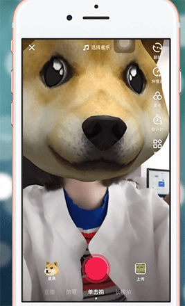 抖音APP甩狗头特效使用操作讲解_wishdown.com 抖音APP甩狗头特效使用操作讲解_wishdown.com