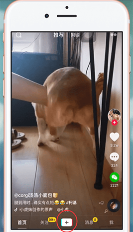 抖音APP甩狗头特效使用操作讲解_wishdown.com 抖音APP甩狗头特效使用操作讲解_wishdown.com