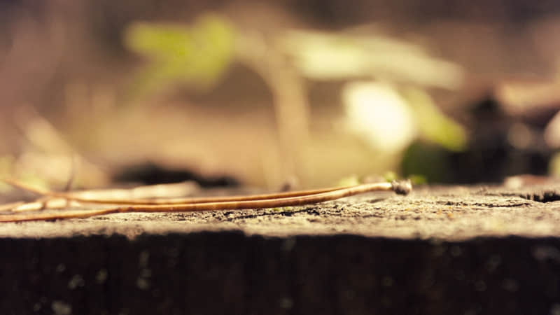 “存起来,????????发一种很新的朋友圈”??_wishdown.com “存起来,????????发一种很新的朋友圈”??_wishdown.com