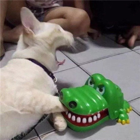 伤感网名5个字男生的(精选100个)_wishdown.com 伤感网名5个字男生的(精选100个)_wishdown.com