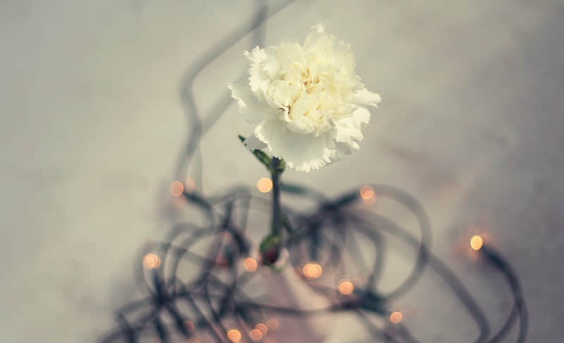 “晒娃时用鲁迅的方式这样发,笑死朋友圈”??_wishdown.com “晒娃时用鲁迅的方式这样发,笑死朋友圈”??_wishdown.com