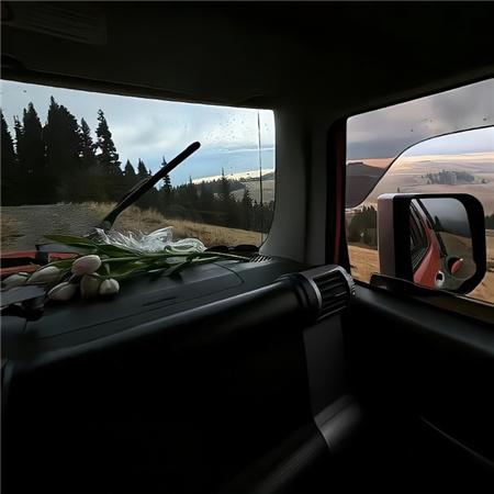 ����id�������˸�����(��ѡ100��)