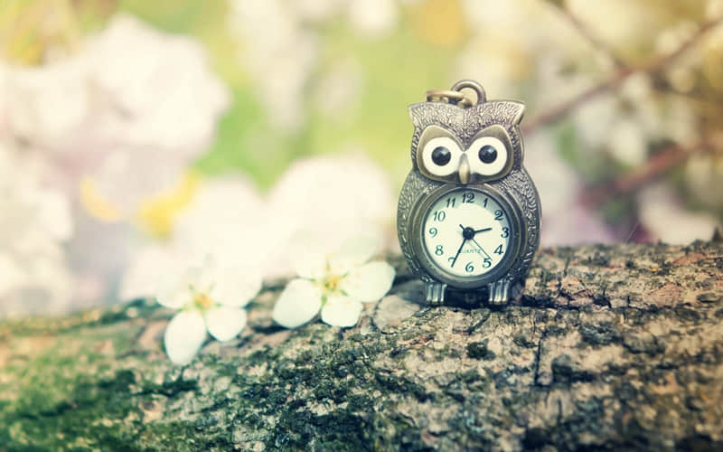 “本年度最最最最最最爱的文案 ”_wishdown.com “本年度最最最最最最爱的文案 ”_wishdown.com