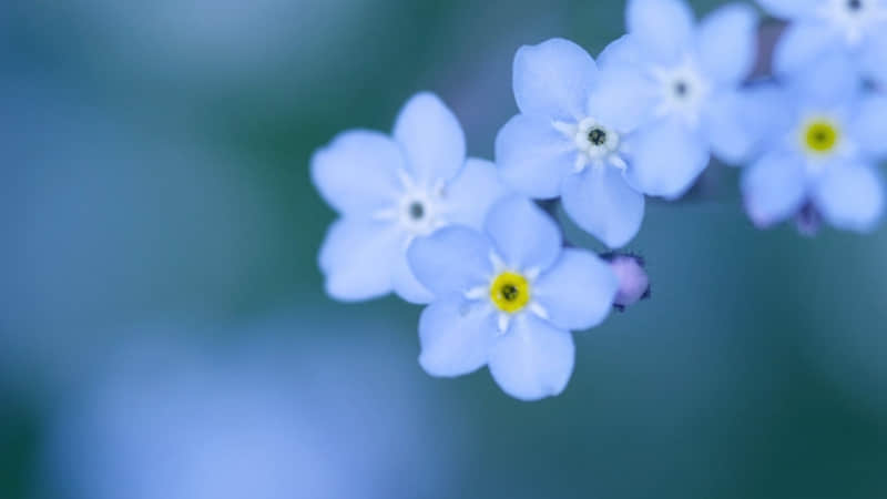 “所有的关系,你不要了,这道题就解了”_wishdown.com “所有的关系,你不要了,这道题就解了”_wishdown.com