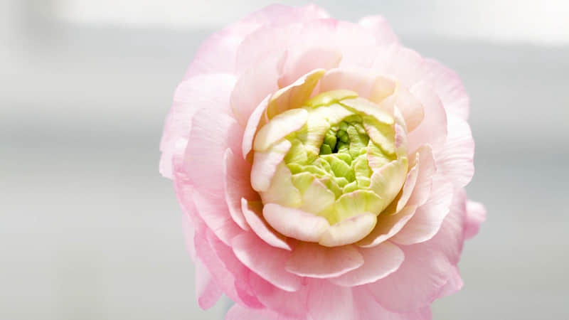 “所有的关系,你不要了,这道题就解了”_wishdown.com “所有的关系,你不要了,这道题就解了”_wishdown.com