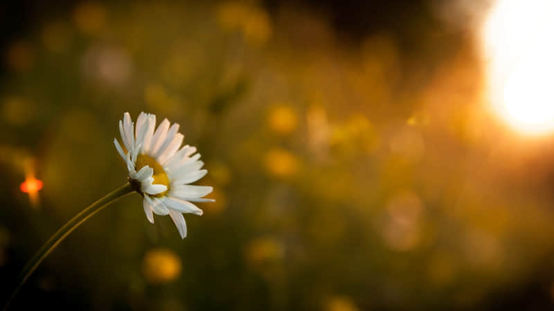 “你越会跟男人“要”,他反而越爱你!”_wishdown.com “你越会跟男人“要”,他反而越爱你!”_wishdown.com