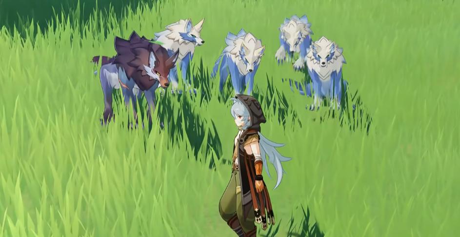 原神狼位置合辑_wishdown.com 原神狼位置合辑_wishdown.com