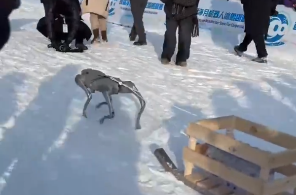 ����20�漫�˳����������׽쾻�»����˱�ѩȤζ������