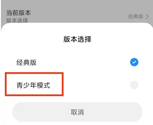 小米视频青少年模式怎么设置?小米视频青少年模式设置方法_wishdown.com 小米视频青少年模式怎么设置?小米视频青少年模式设置方法_wishdown.com