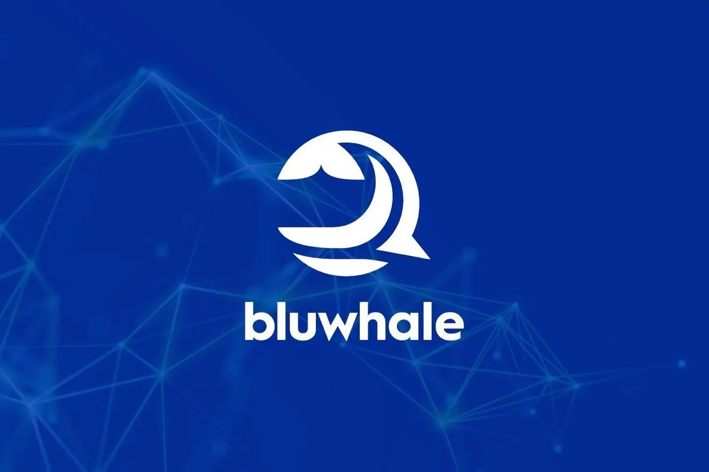 Bluwhale AI��BLUAI������ʲô��BLUAI������ʽ�����Ҿ���ѧ��δ��չ��