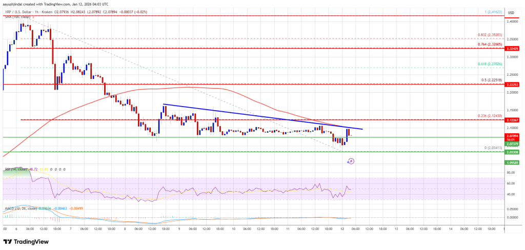 XRP�۸�ƽ�����λ������ӭ���ɰ����ص�ʱ��