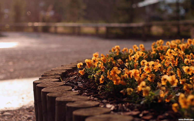 �����ţ���̫������Ҫ��Ȥһ�㡫��