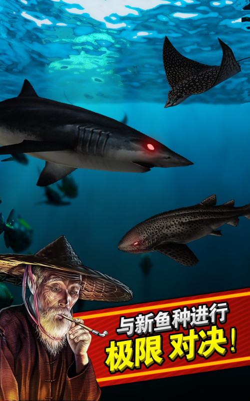 2026流行的小猫钓鱼游戏盘点_wishdown.com 2026流行的小猫钓鱼游戏盘点_wishdown.com