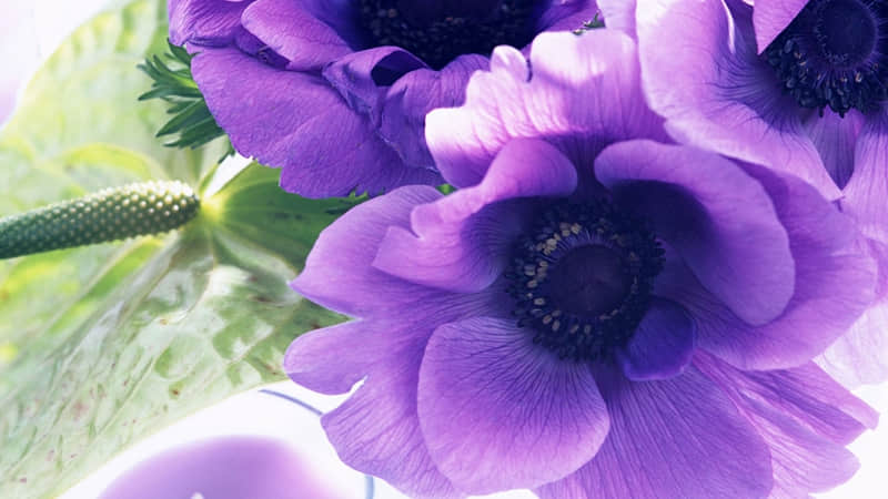 ������Ұһ�㣬�ѶԷ����Ц��