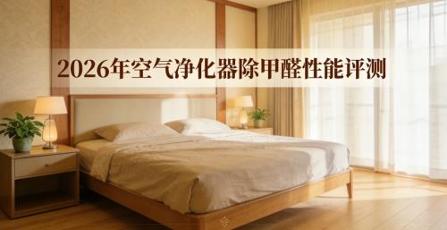 2026���������������ȩ����Ȩ����  �ֽ��ȩȫ��ȶ�����