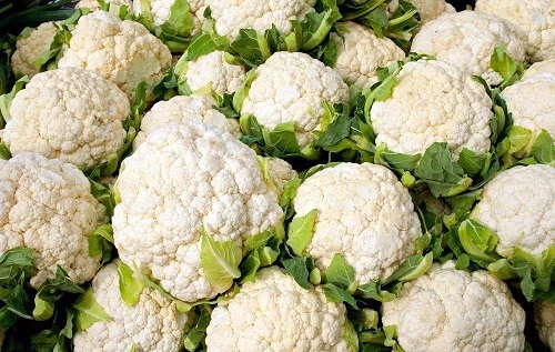 人们平时吃的花椰菜,主要食用的是它的哪个部分?支付宝蚂蚁庄园6月22日答案_wishdown.com 人们平时吃的花椰菜,主要食用的是它的哪个部分?支付宝蚂蚁庄园6月22日答案_wishdown.com