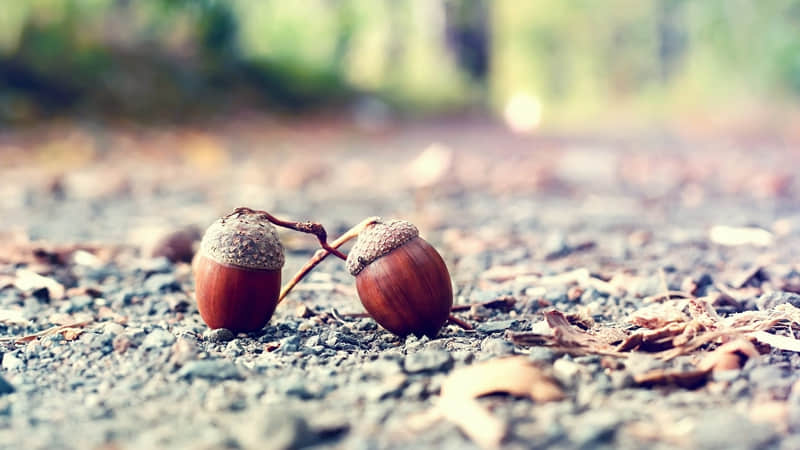 “早上对老公撒撒娇??,让他想你一整天”_wishdown.com “早上对老公撒撒娇??,让他想你一整天”_wishdown.com