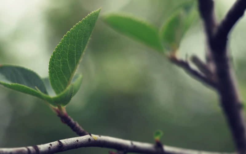 ��һ��Ҫ�����������Ĺ���100%���ᣡ��