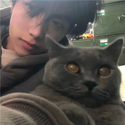 ��������������΢������(��ѡ100��)