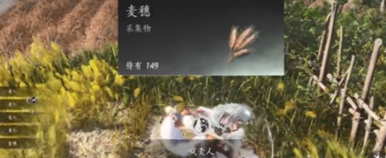 《燕云十六声》滹沱麦子相关成就获取方法_wishdown.com 《燕云十六声》滹沱麦子相关成就获取方法_wishdown.com