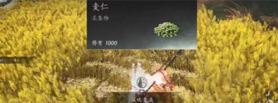 《燕云十六声》滹沱麦子相关成就获取方法_wishdown.com 《燕云十六声》滹沱麦子相关成就获取方法_wishdown.com