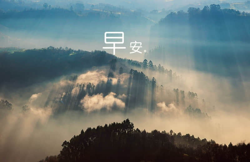 “申请成为你的微信置顶短句”??_wishdown.com “申请成为你的微信置顶短句”??_wishdown.com