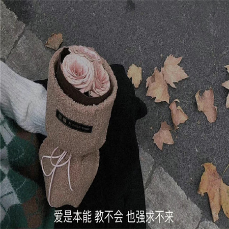 �������˸�����(��ѡ100��)