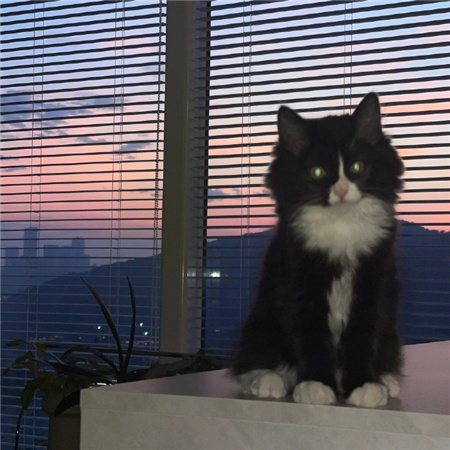 �ø����˸���������(��ѡ100��)